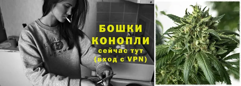 Шишки марихуана OG Kush  наркотики  Бобров 